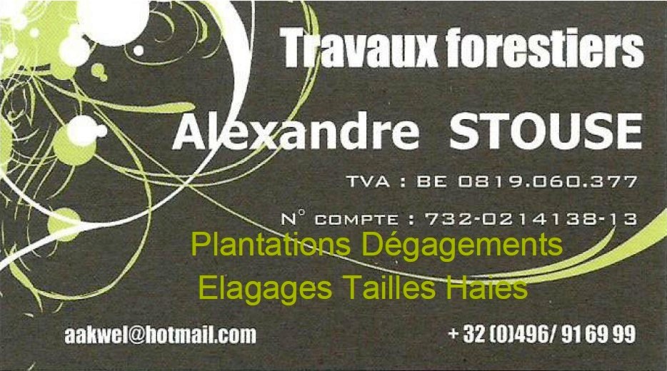 Travaux forestiers Alexandre Stouse
