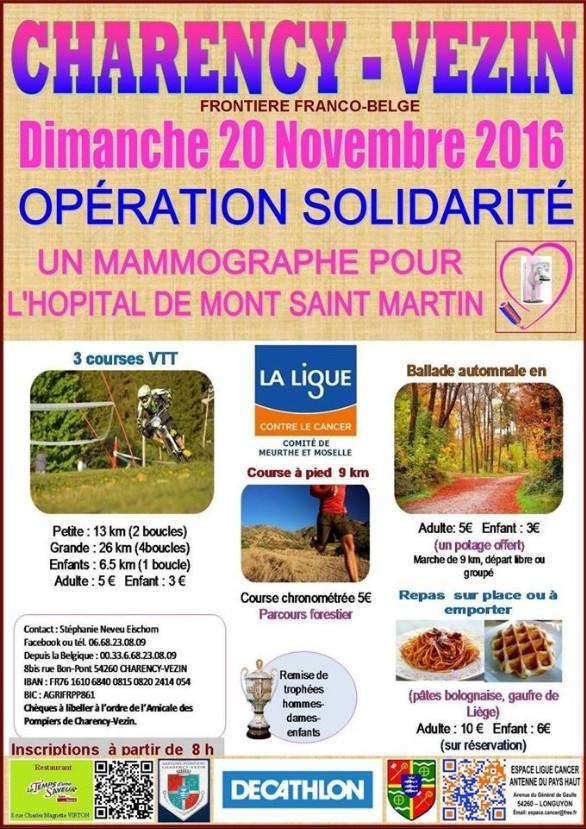 Course vtt marche a charency vezin fr le 201119
